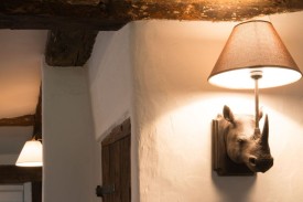 interesting-rhino-lamp-1024x683