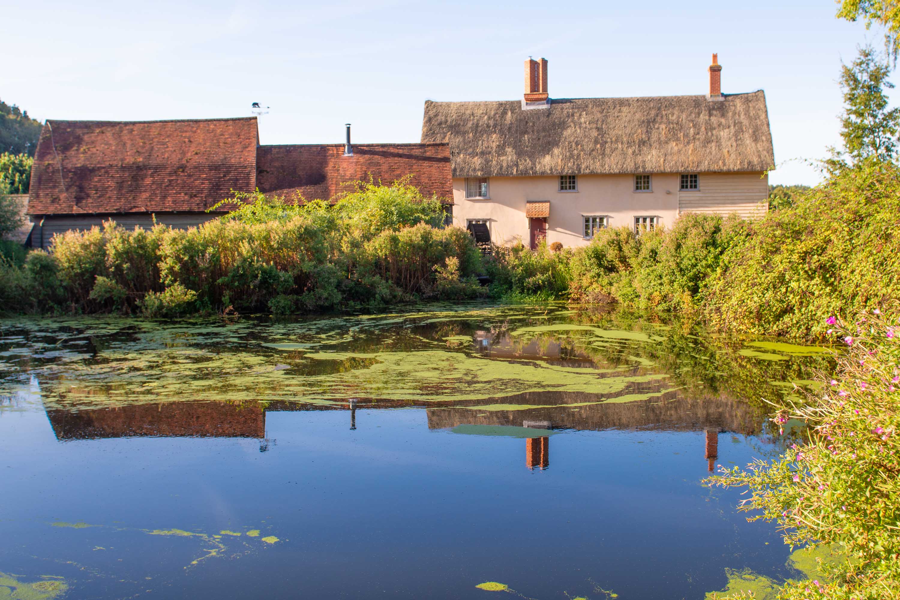 A beautiful experience of Nature at Mill Cottage