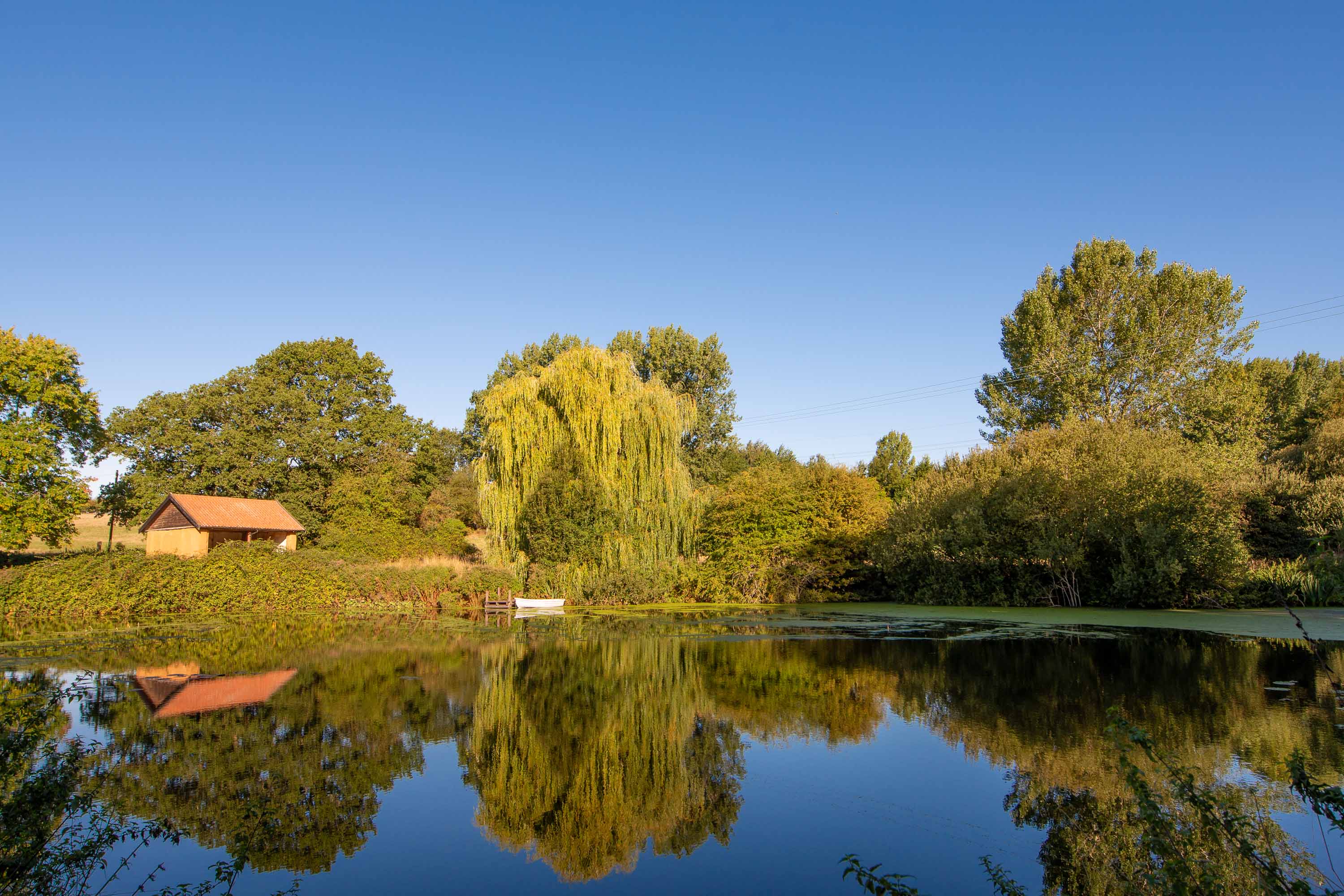 Stay next to a Mill Pond that is a haven for Nature.