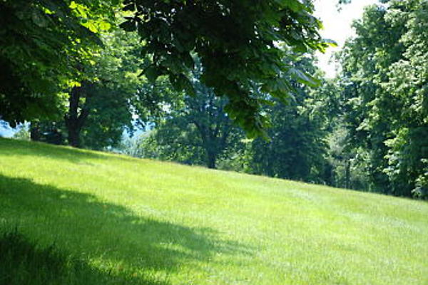 Meadow 350 opt