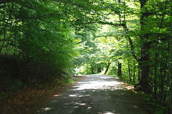 Road 350 opt