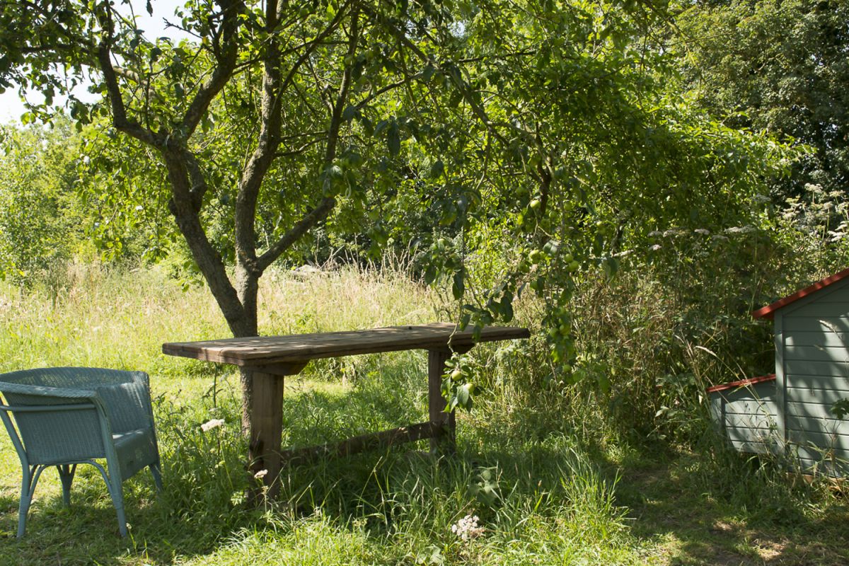 relax in the orchard