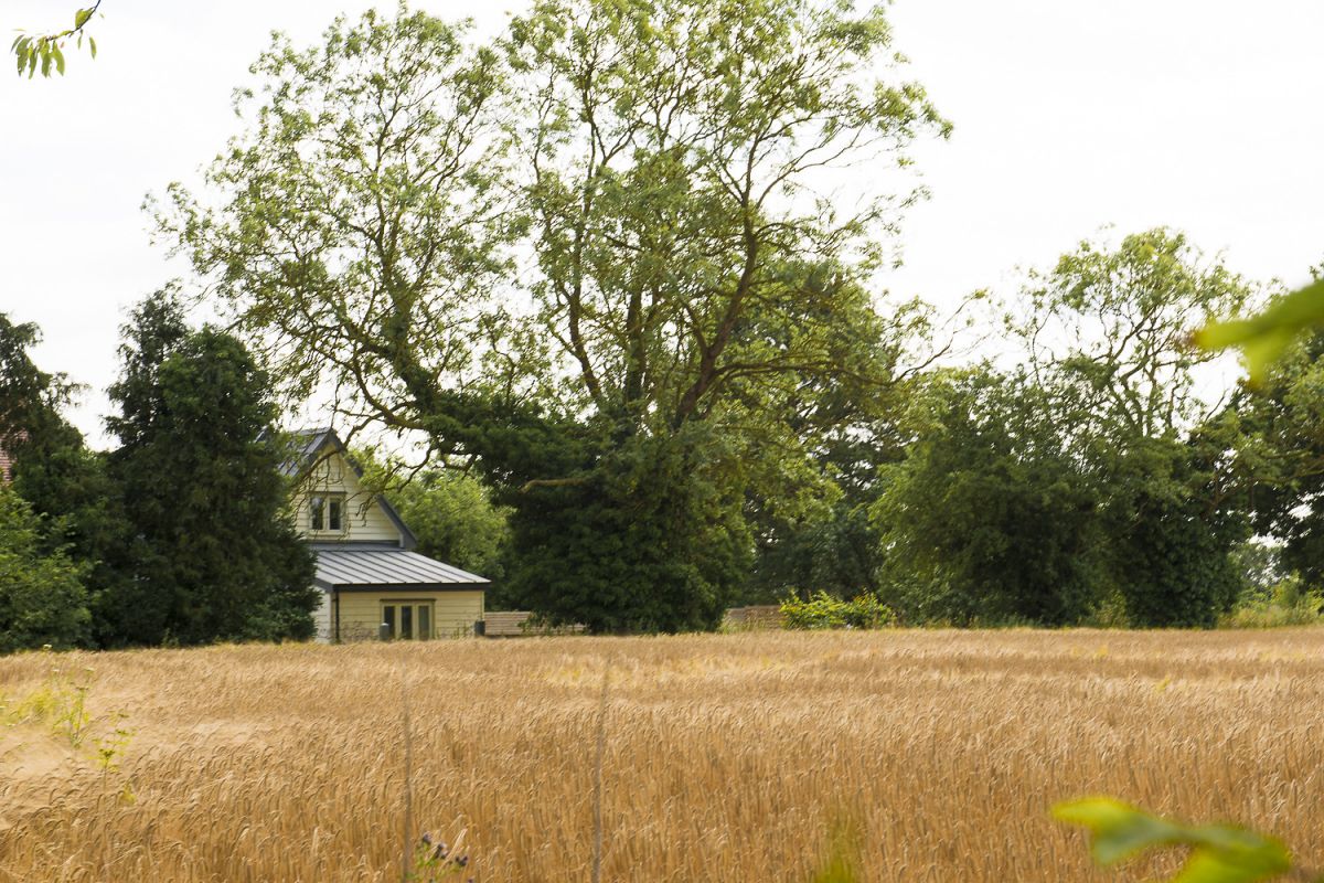 fields surround the cottage