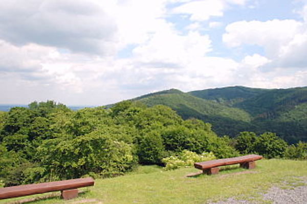 Vista 350 opt