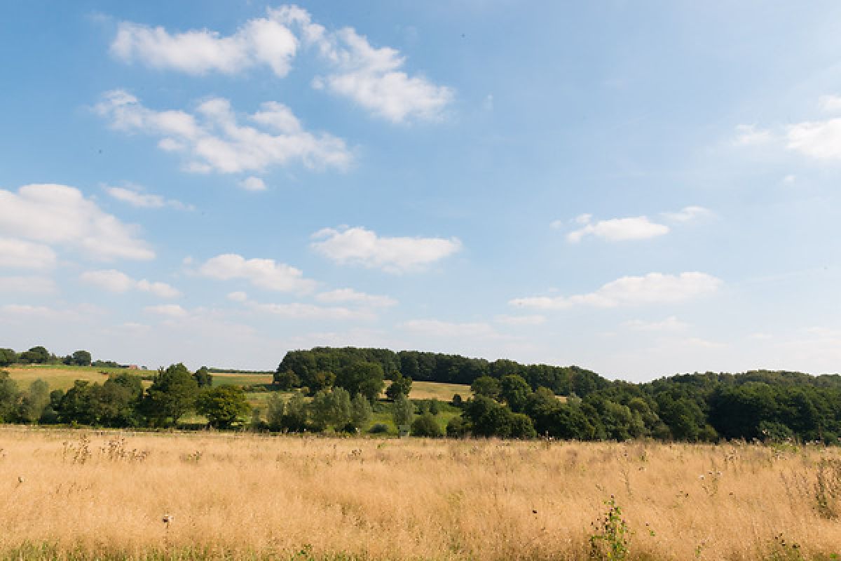 Beautiful countryside in Assington, Suffolk