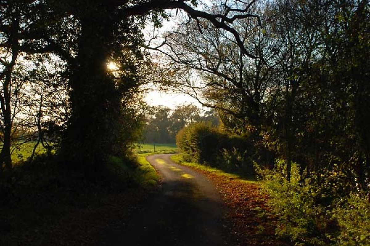 Romantic walking route, priory green Suffolk