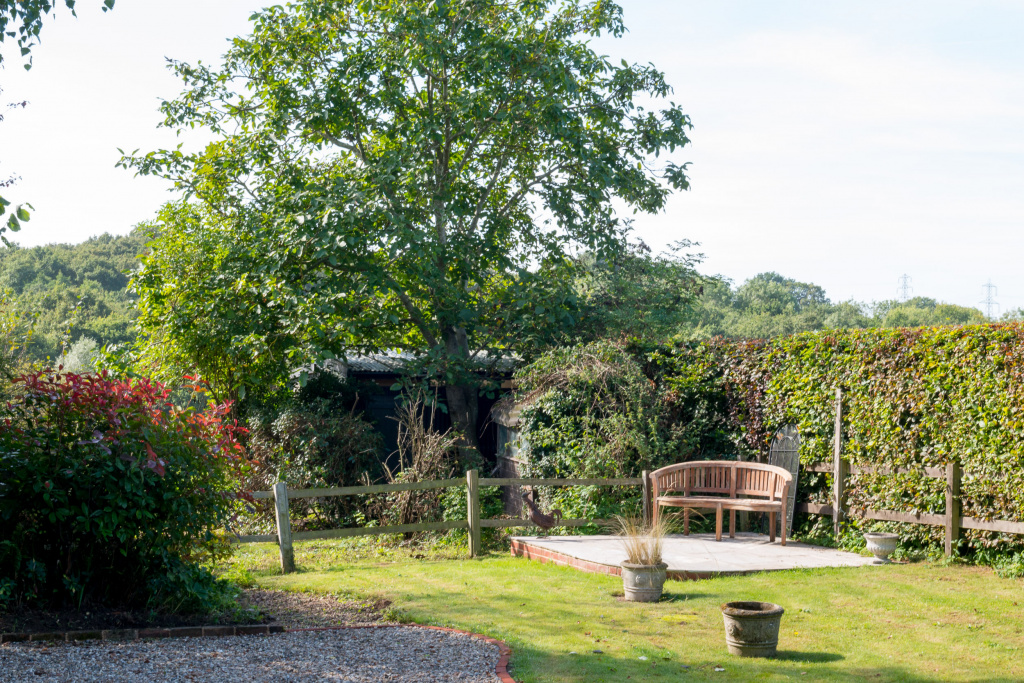 Pretty garden on a self catering Suffolk cottage