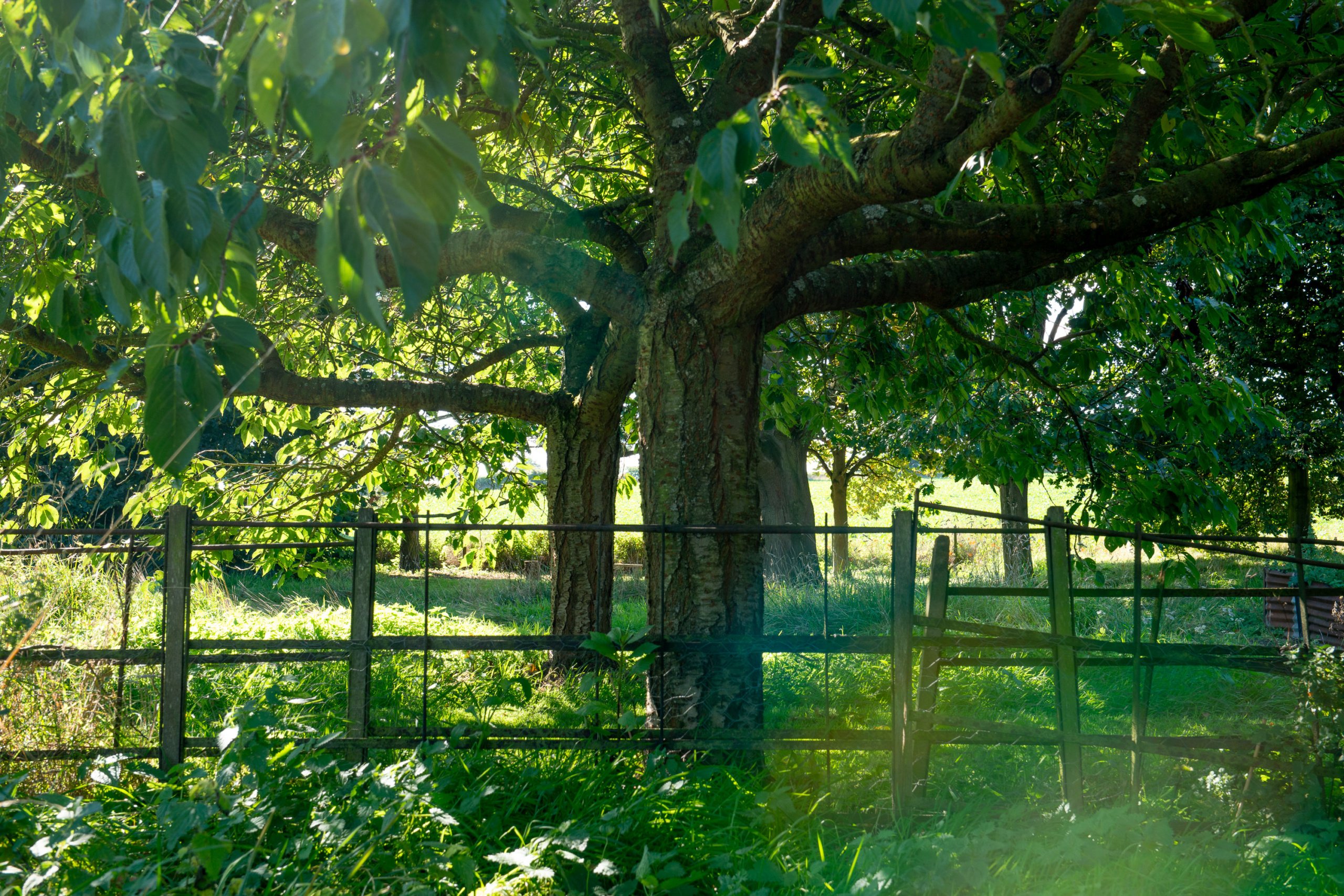 Holiday cottage with large garden
