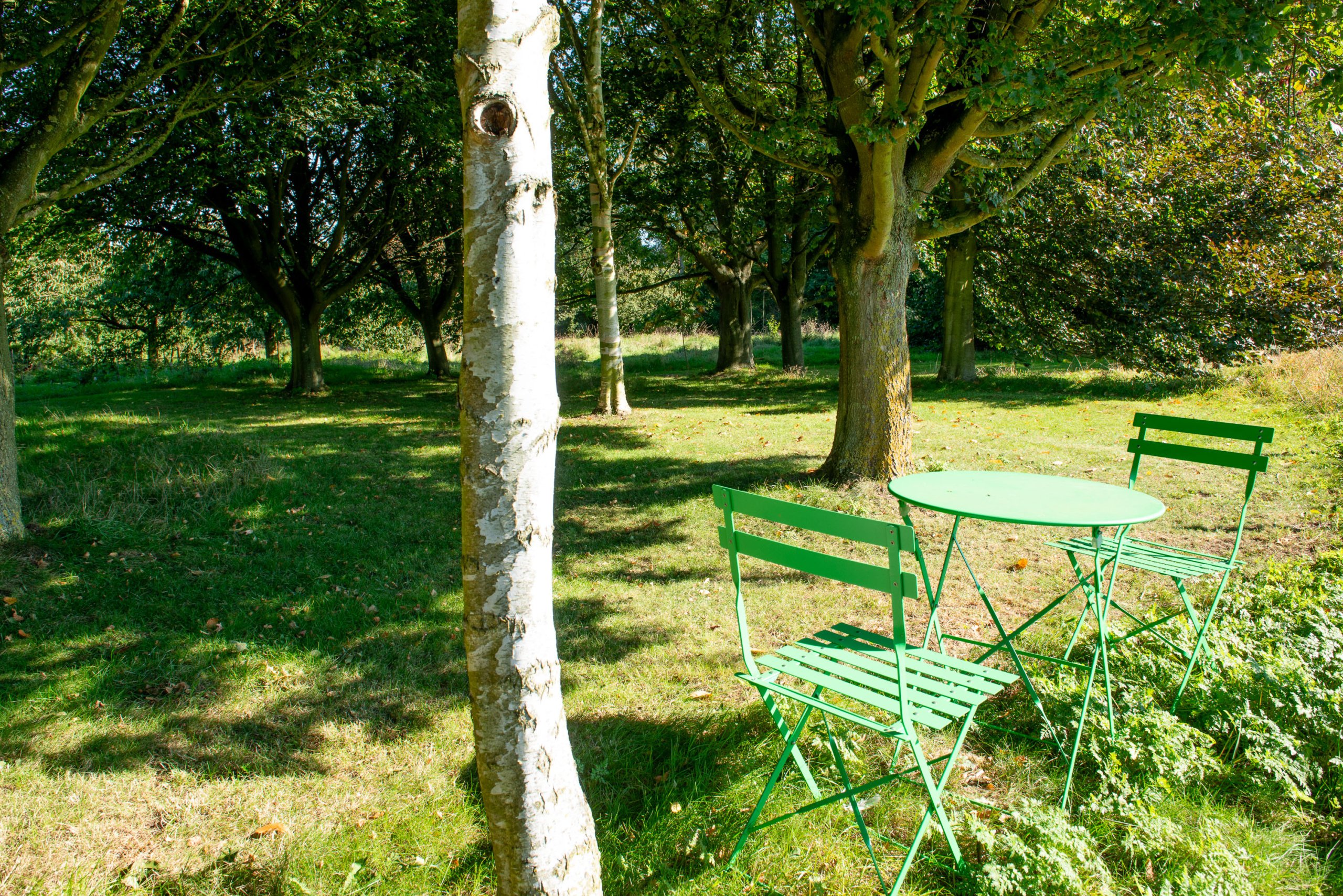 Dog friendly Holiday Cottage near London